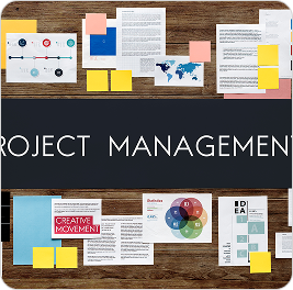 Dedicated Project Manager